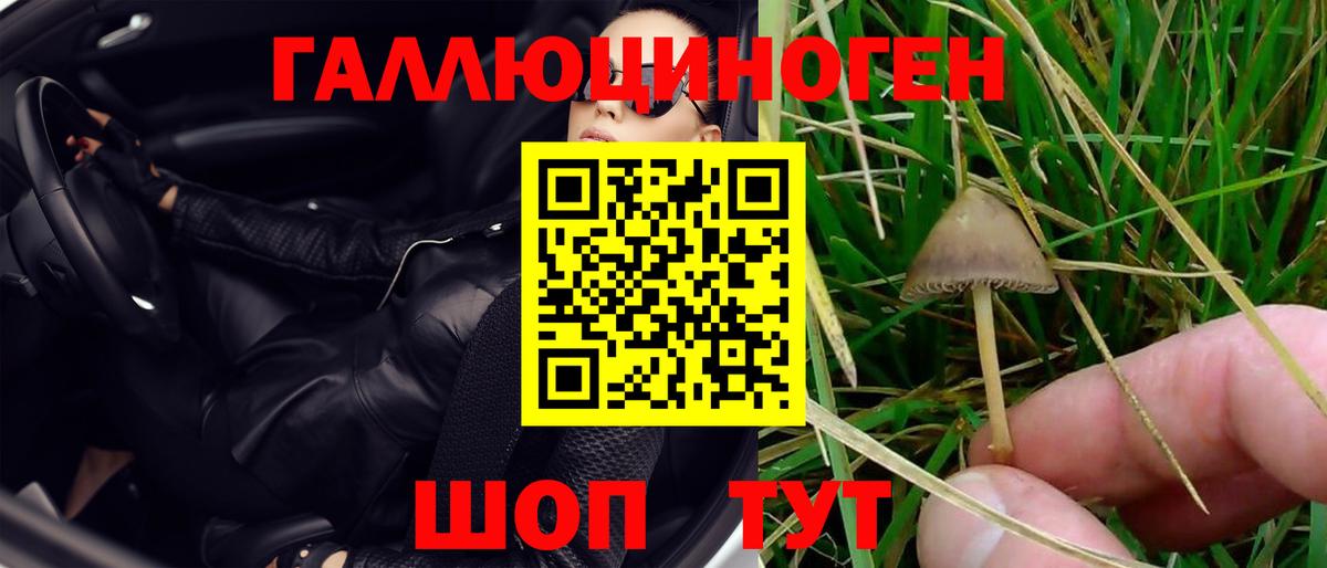Кумертау  Галлюциногенные грибы мухоморы  Вход с VPN  Псилоцибиновые грибы GOLDEN TEACHER 
